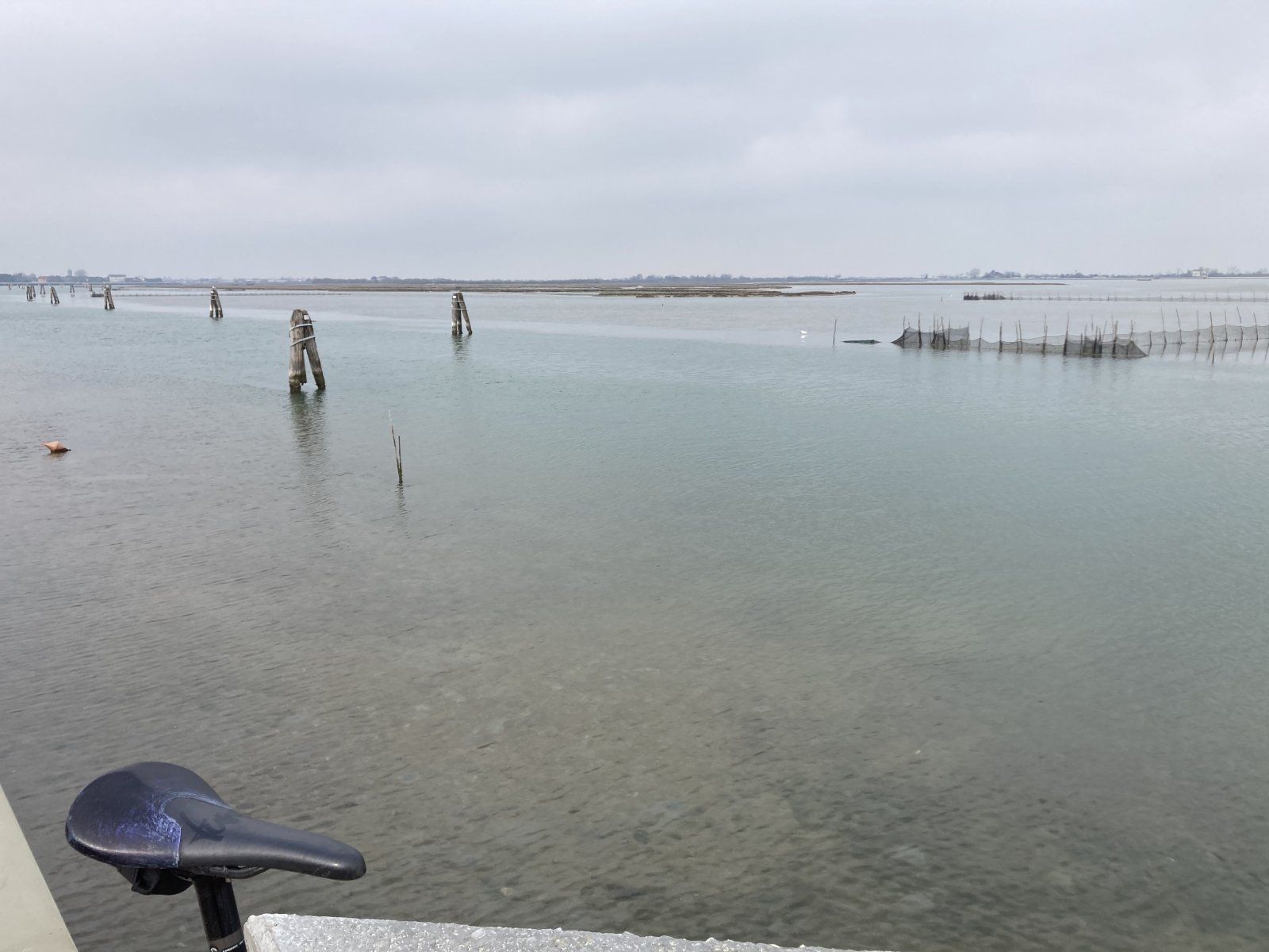 11116609-F026-43A6-B44B-B8A59C48A630.jpeg