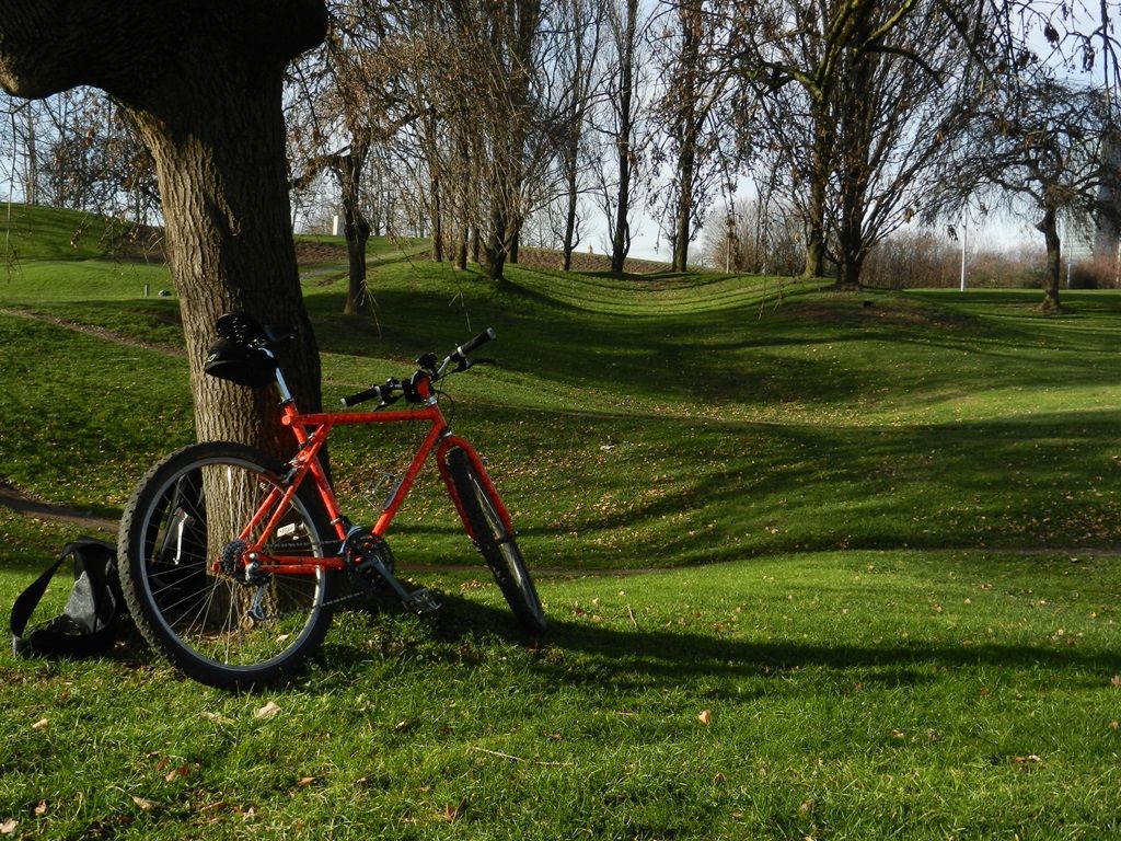 12.12.15 Olympiapark.JPG
