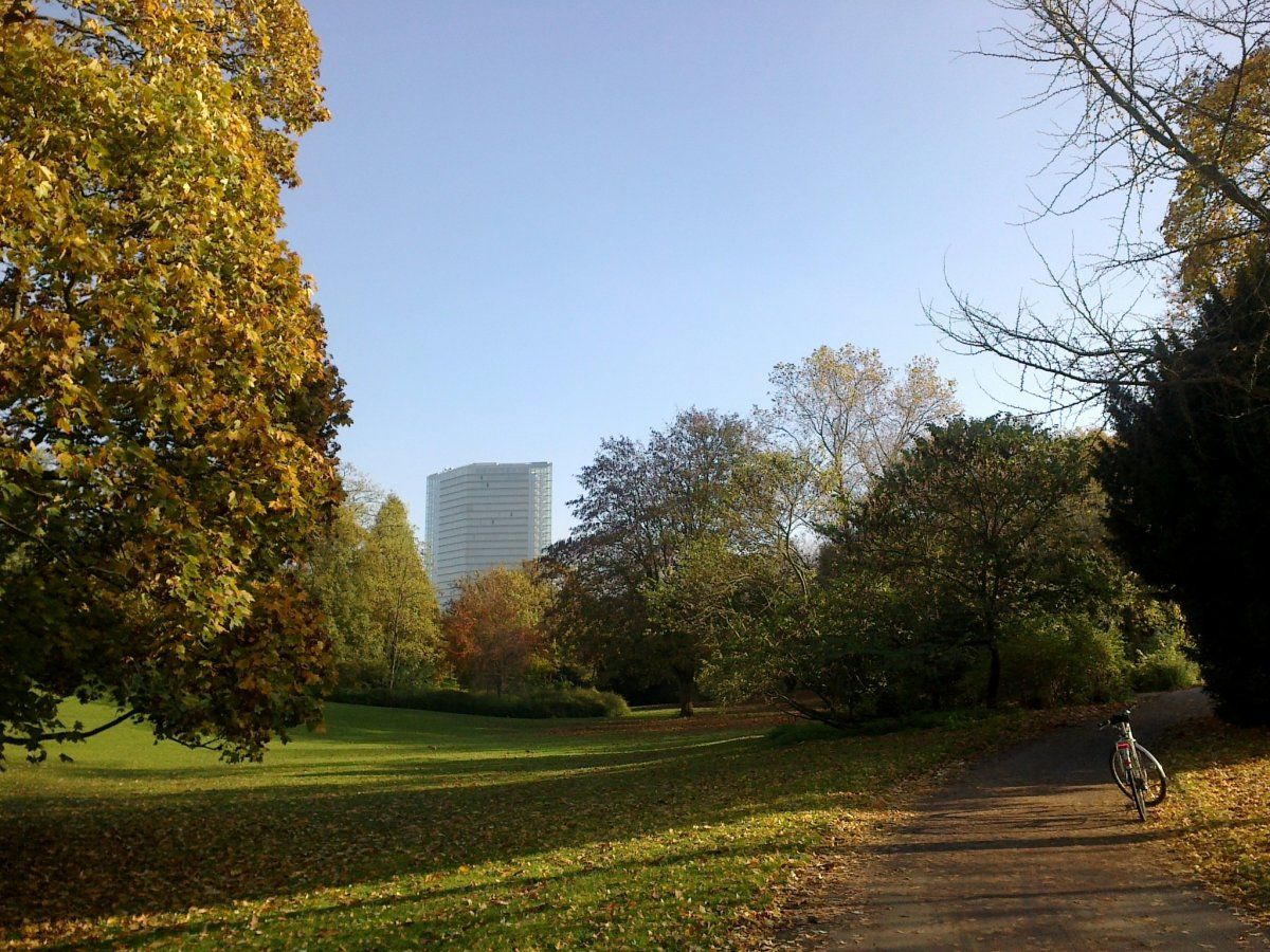 12112013124.jpg