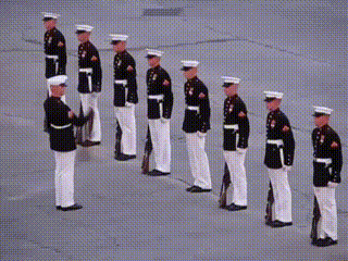 1293081.gif