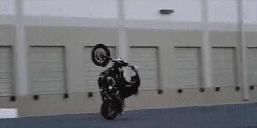 13.gif