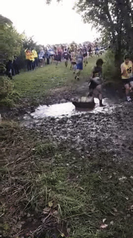 13.gif