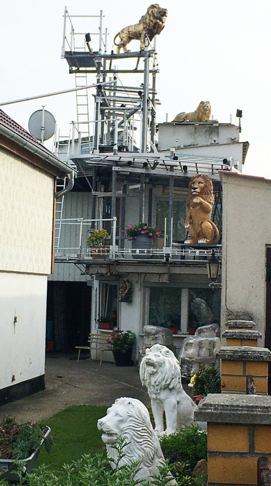 13.jpg