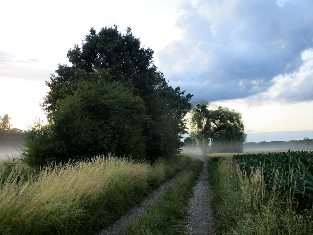 133.JPG