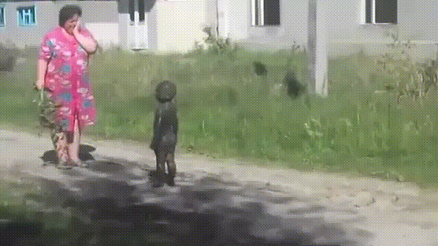138308.gif