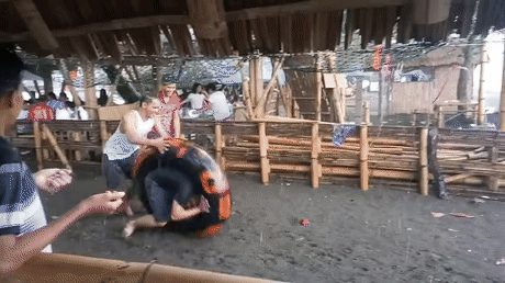 15.gif