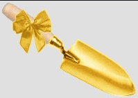 1589451871852.png