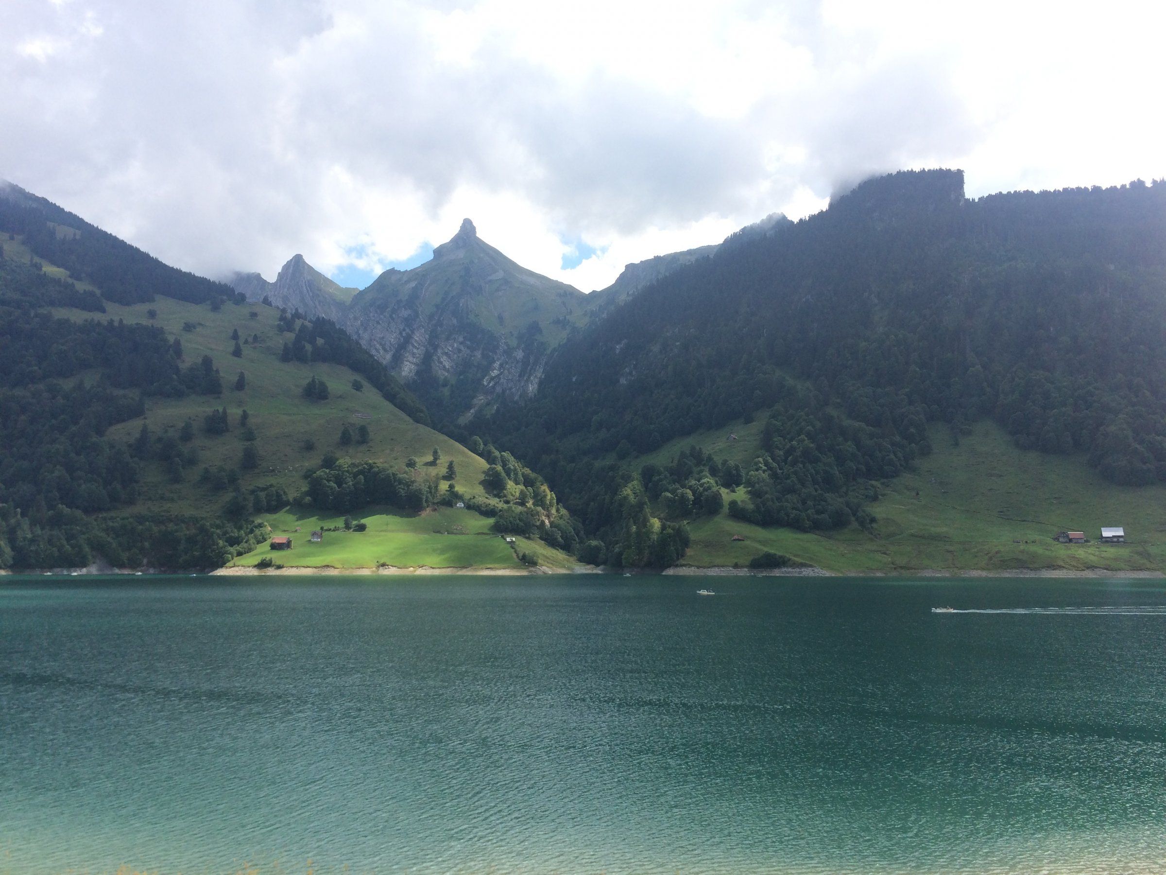15BBBCDB-F25E-48A0-8F12-2545ABDDF341.jpeg