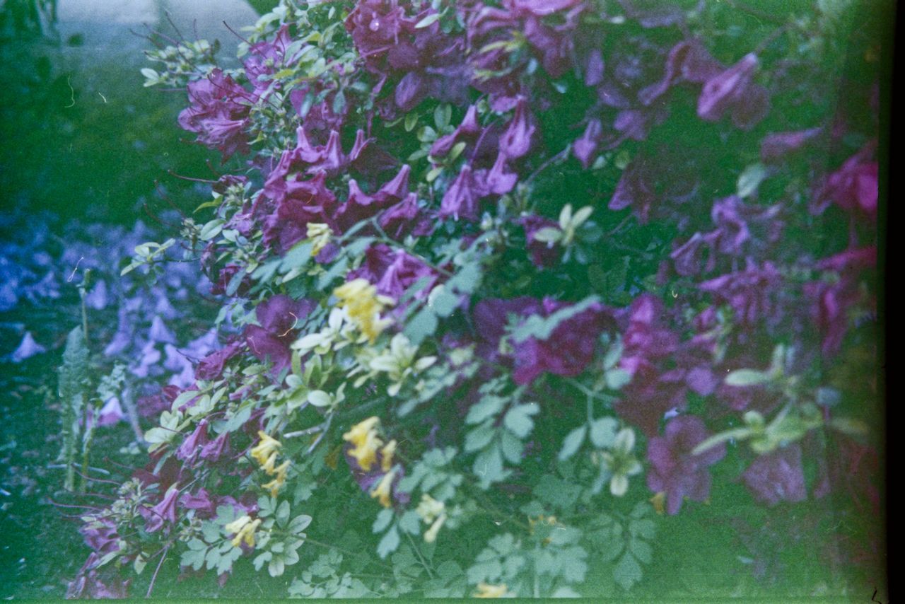 16 (1).jpeg
