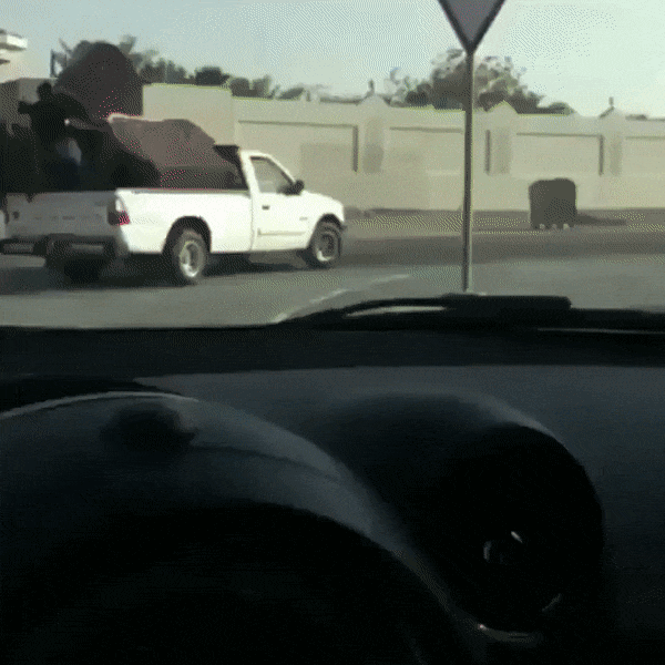 16.gif
