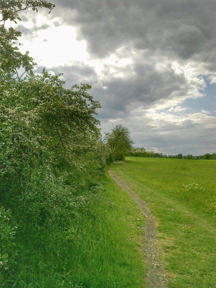 16052016855-01.jpeg