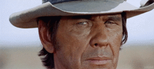 1739257230037.gif