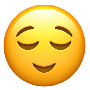 1742576358840.png