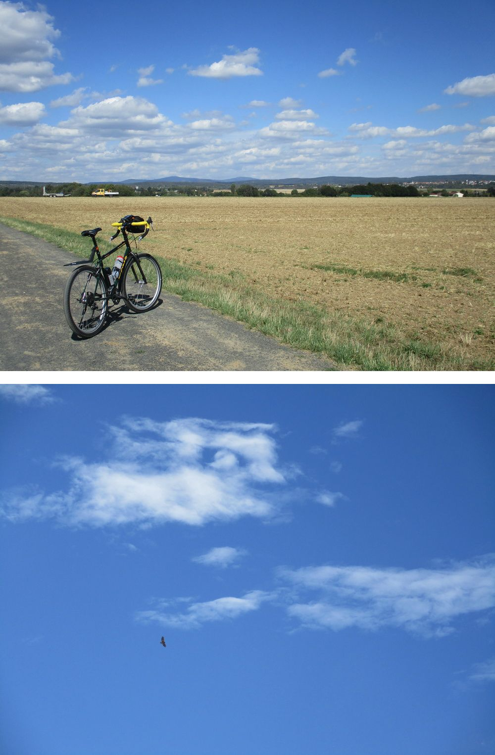 1748974548365.png