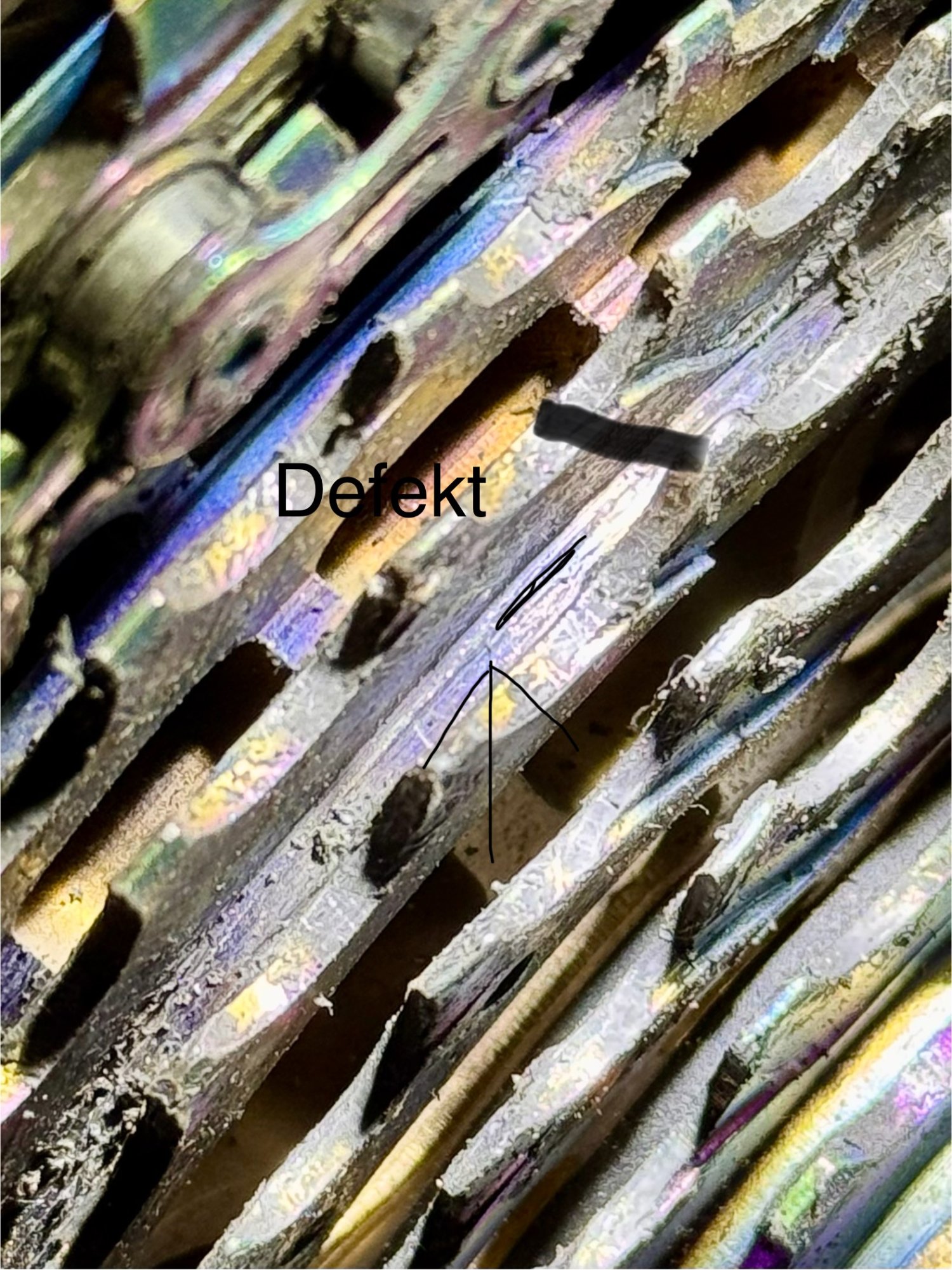 1751003157761.jpeg