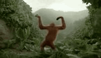 1751871584714.gif