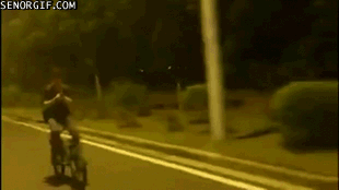 18.gif