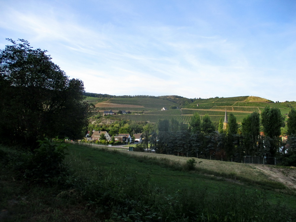 19.JPG