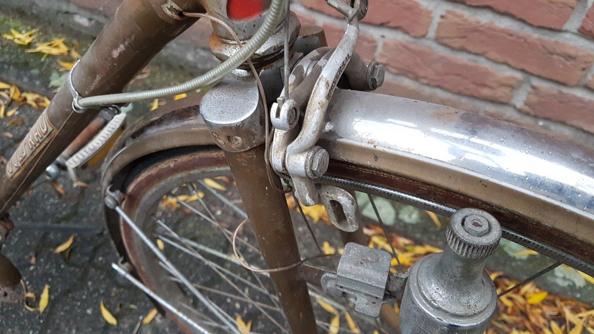 191113-Bottecchia-13.jpg