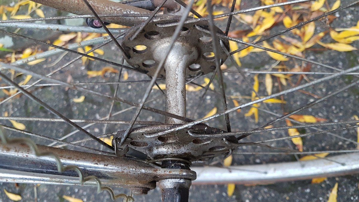 191113-Bottecchia-15.jpg