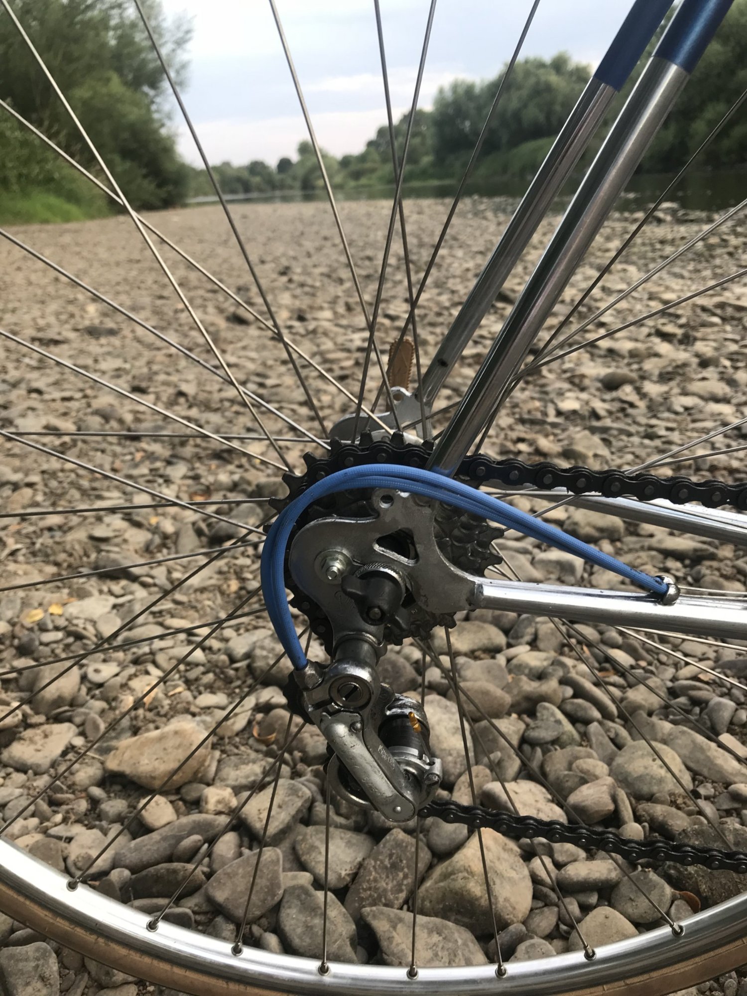 1961 Teamradl 02.jpeg