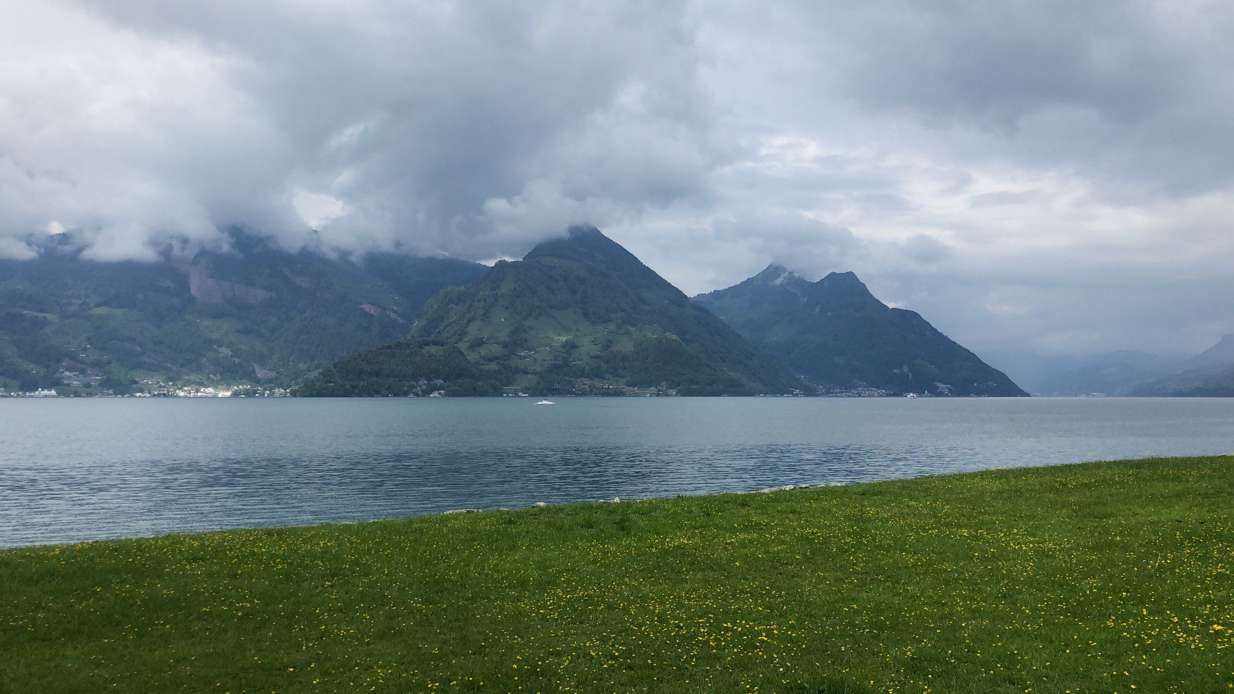 1A955058-C807-40B5-8215-2F98B7049DE9.jpeg