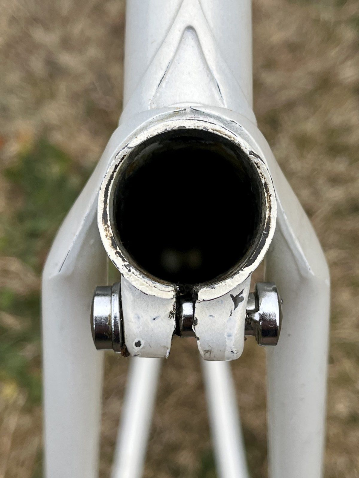 1AC525D9-2403-4796-B6FF-A59EFCB08245.jpeg