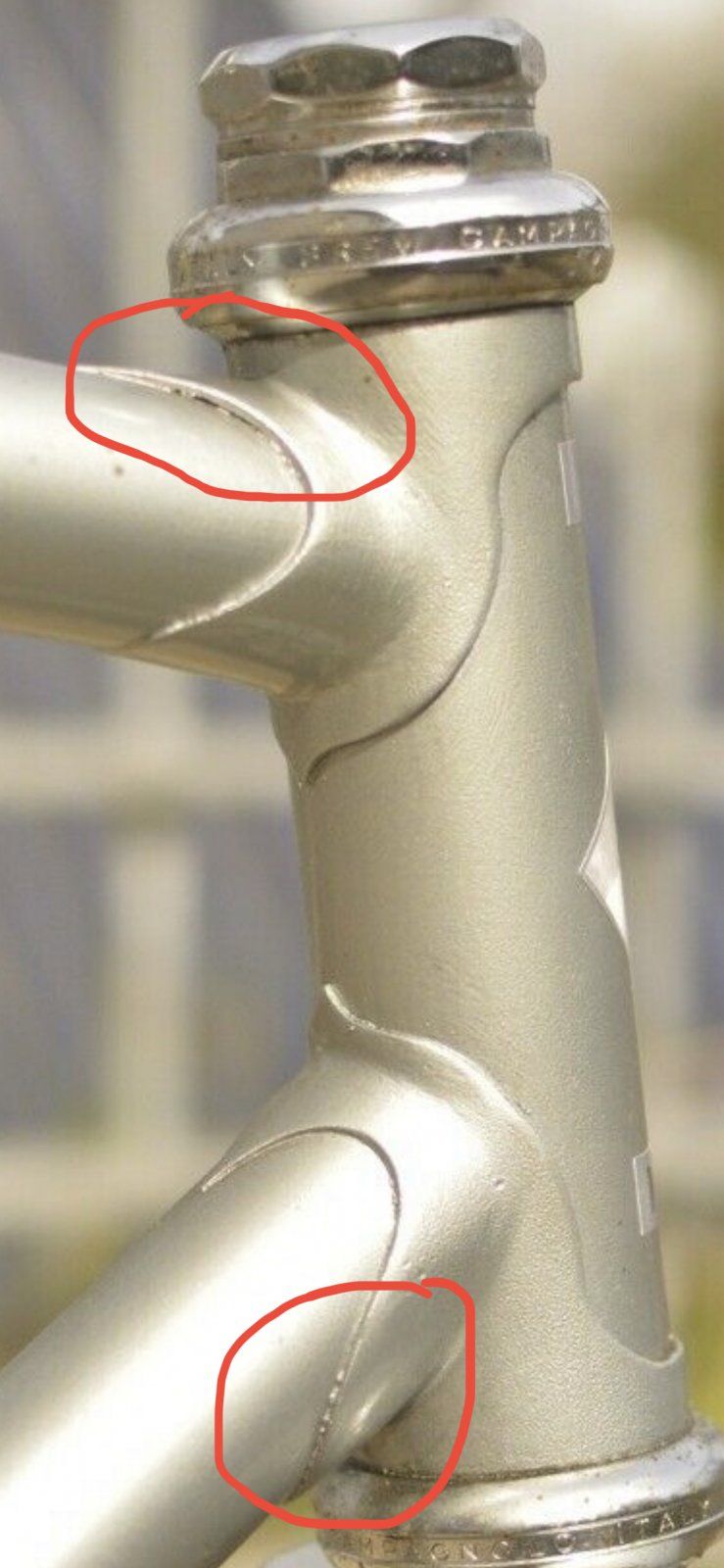 1F4066B6-5F71-4EA8-BC19-958FEB551D5A.jpeg