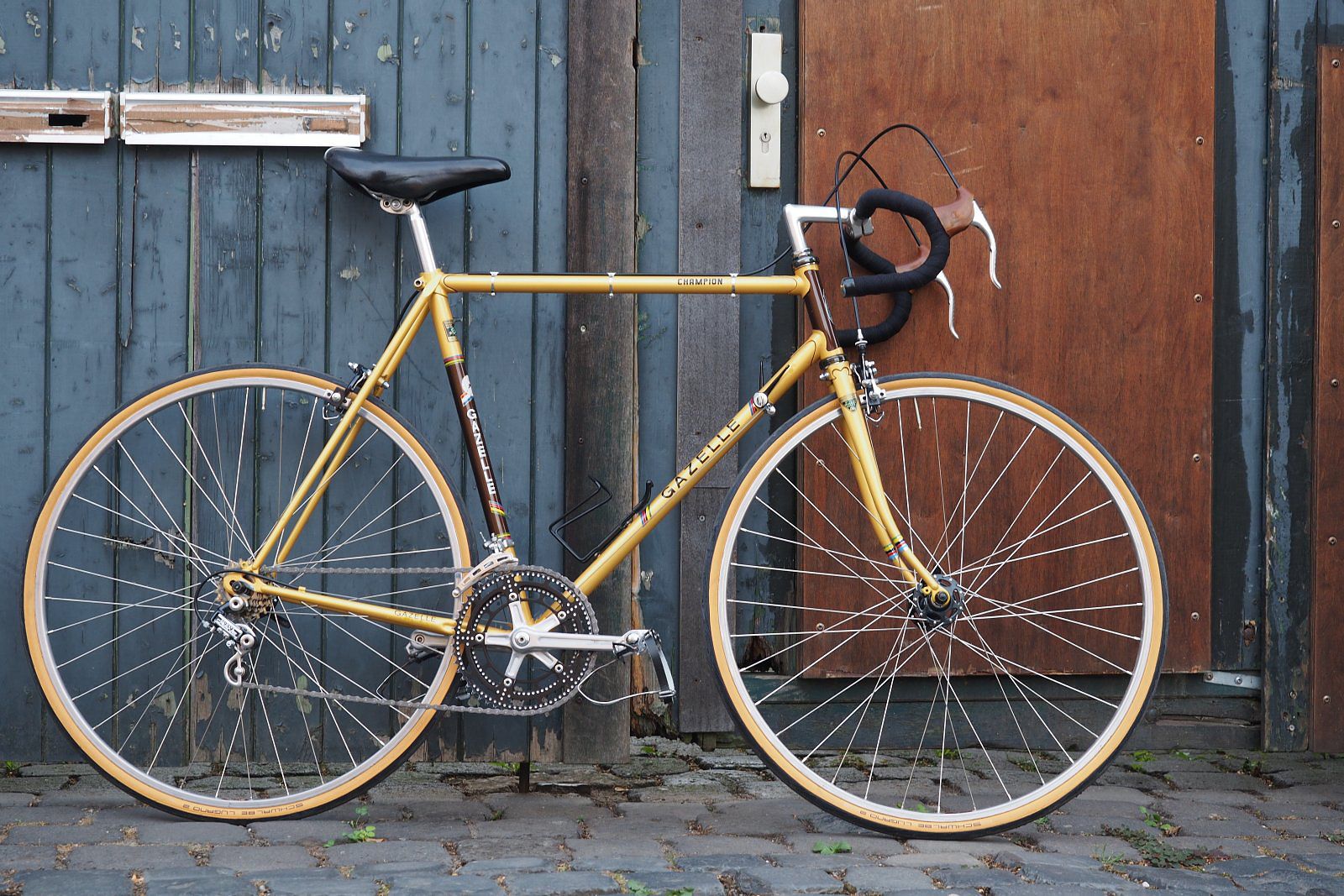 200827-Gazelle-Champion-03.JPG