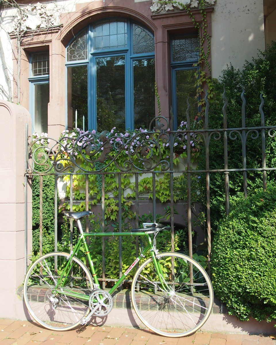 20110101_06_01.JPG