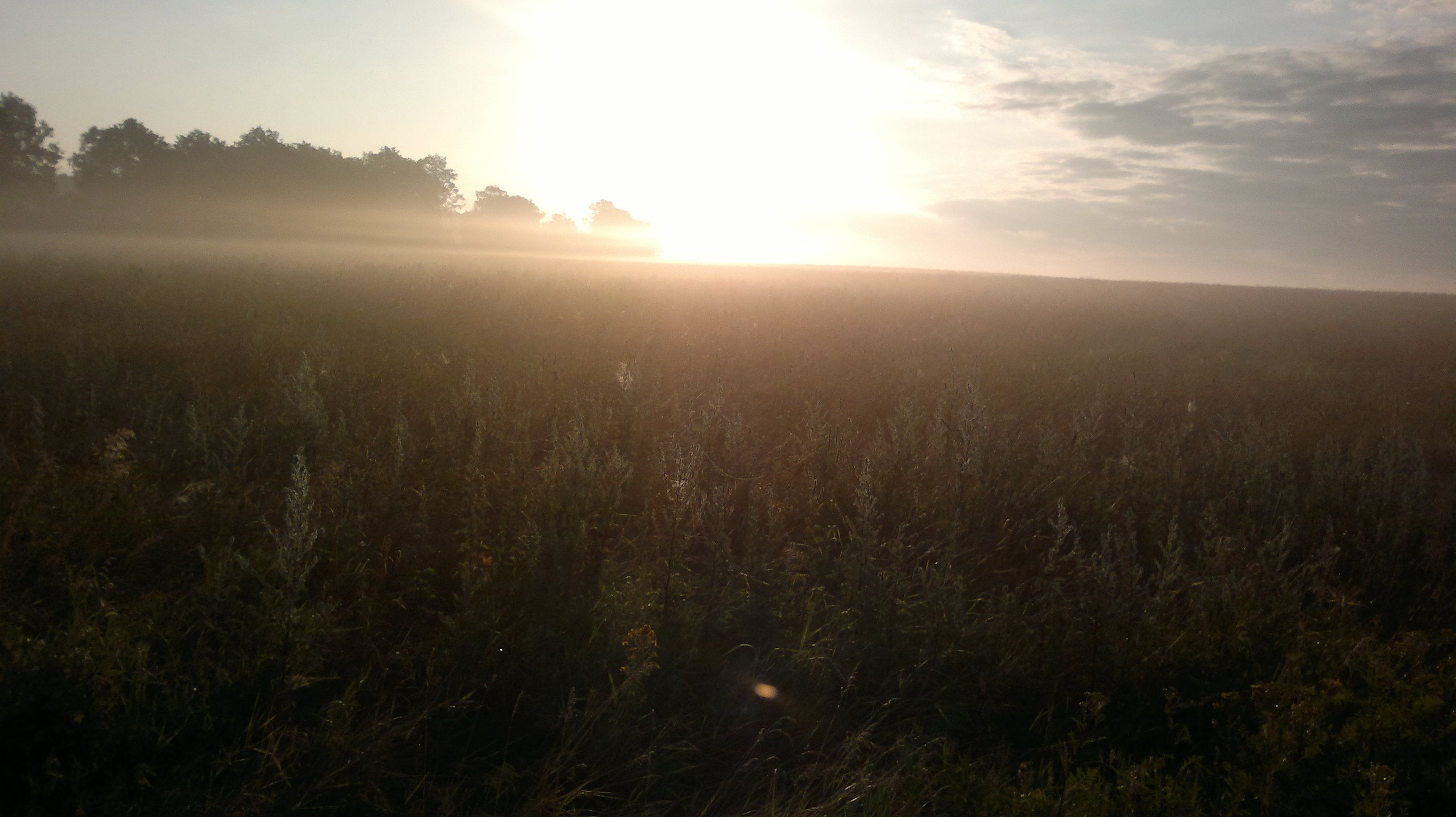 2013-07-18-1355.jpg