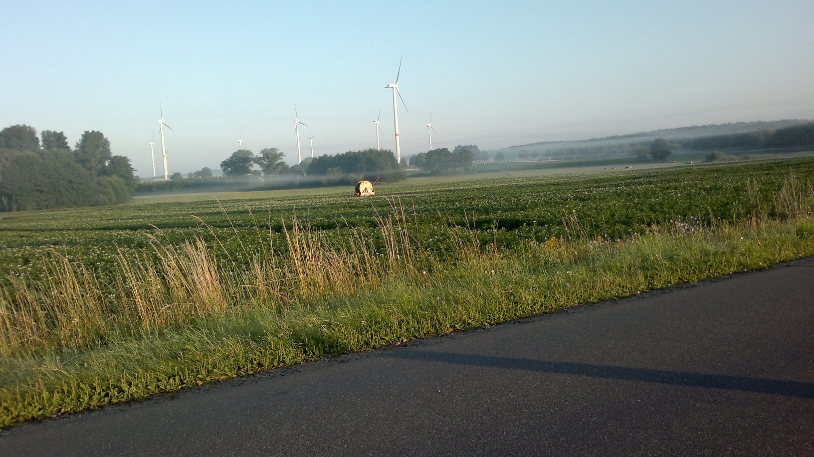 2013-07-18-1356.jpg