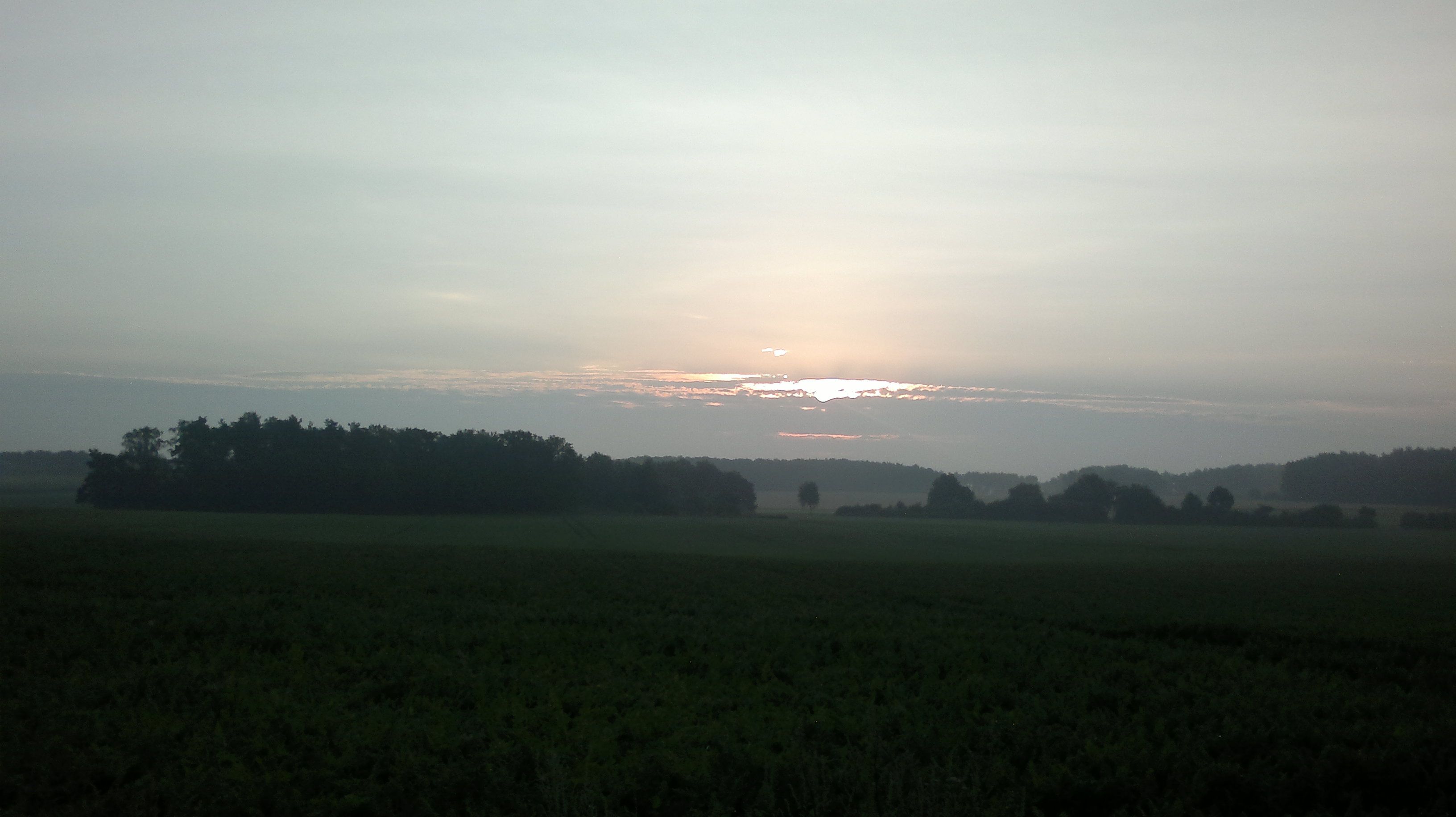 2013-07-30-1377[1].jpg