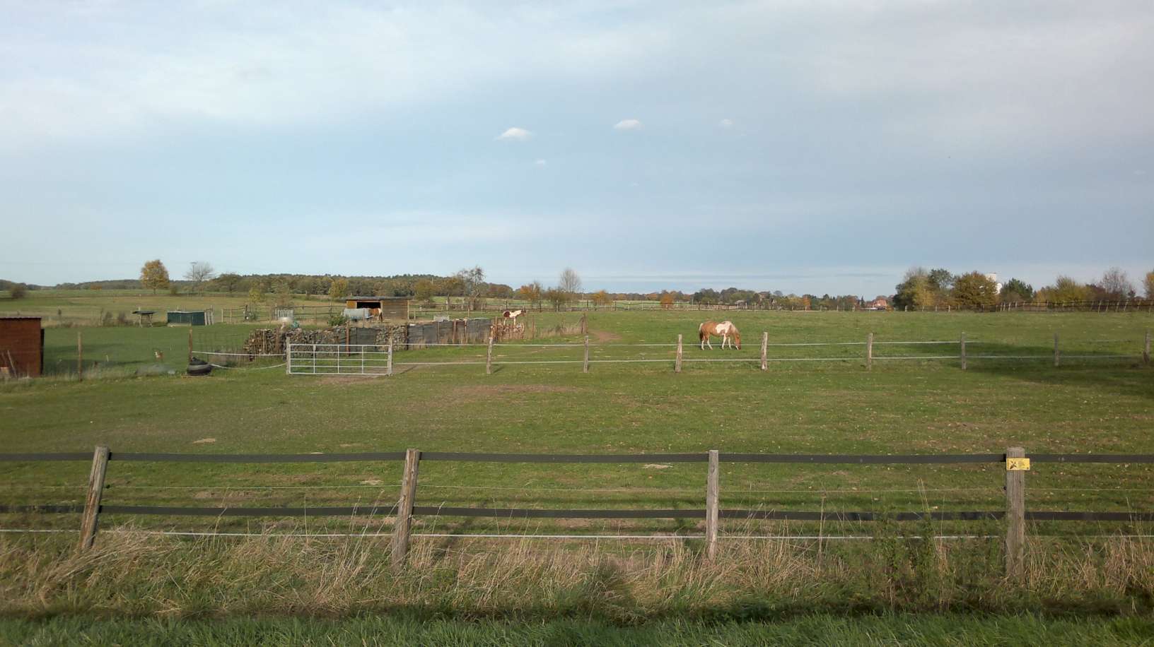 2013-10-23-1573-P50.jpg