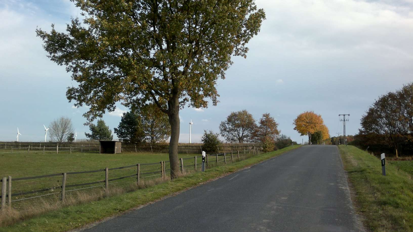 2013-10-23-1574-P50.jpg