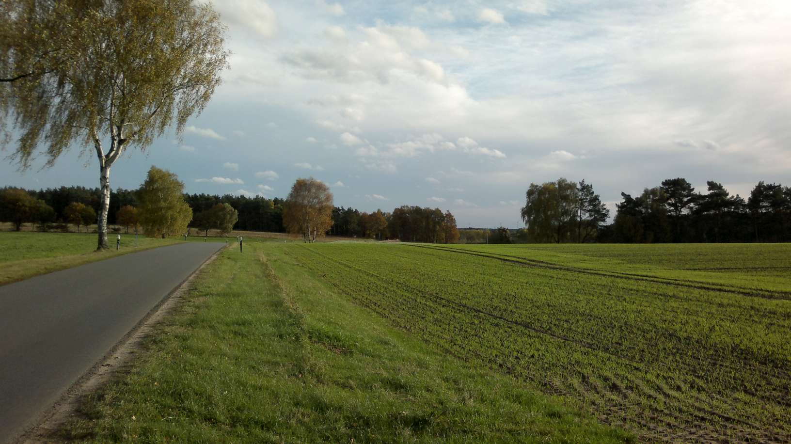2013-10-23-1575-P50.jpg