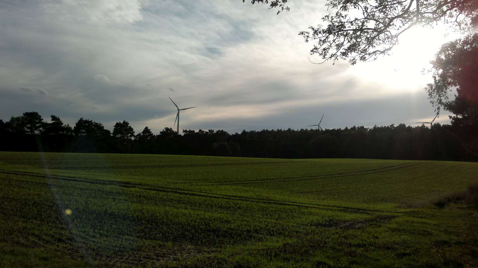 2013-10-23-1576-P50.jpg