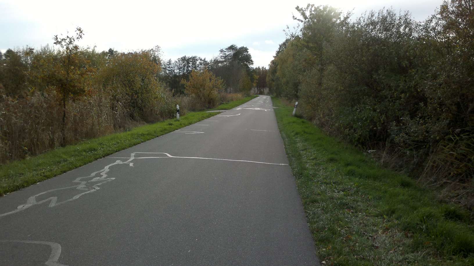 2013-10-23-1577-P50.jpg
