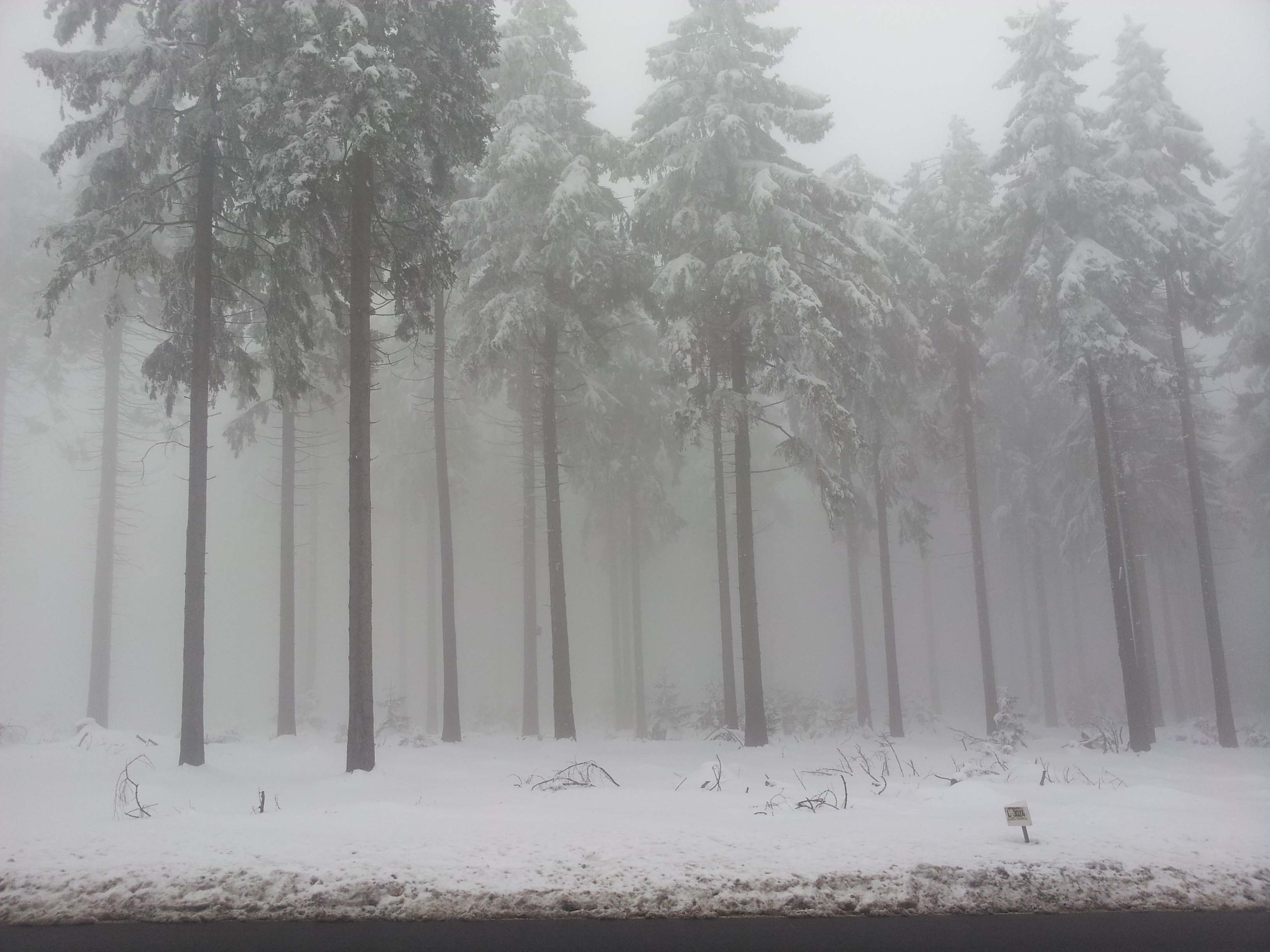 20130226_155619.jpg