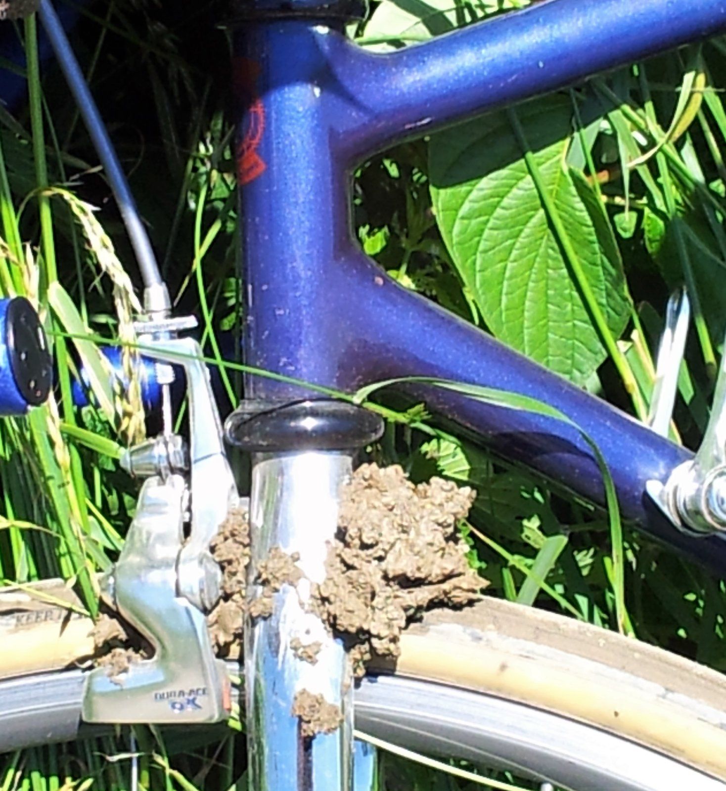 20130613_122222.jpg