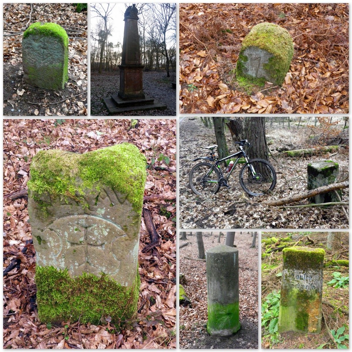 2014-02-09 Mönchbruch.jpg