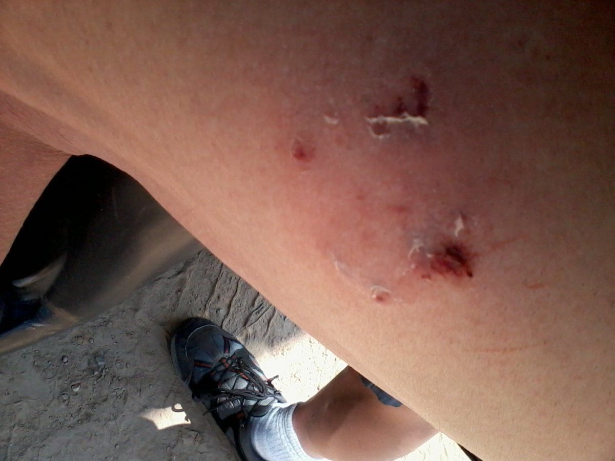 2014-06-02 13.28.54.jpg