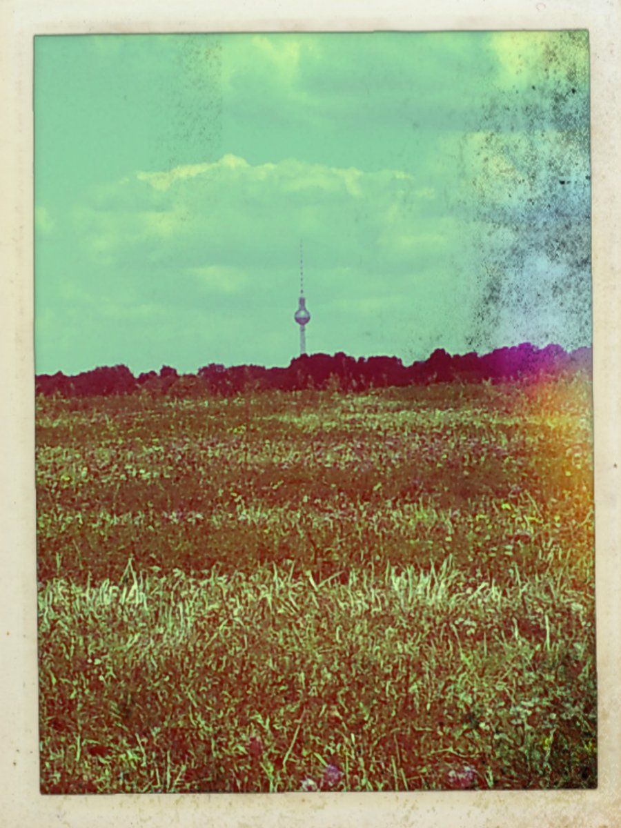 2014-07-23_08_47_14.jpg