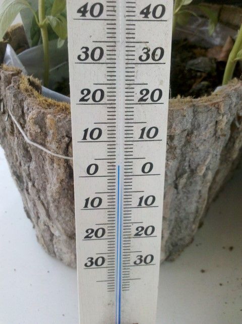 2014-11-21 09.05.48 (Small).jpg