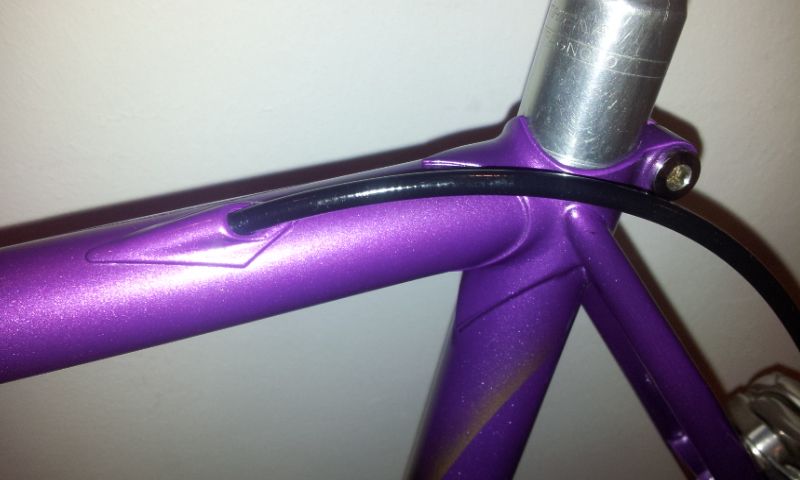 20140411_202002.jpg