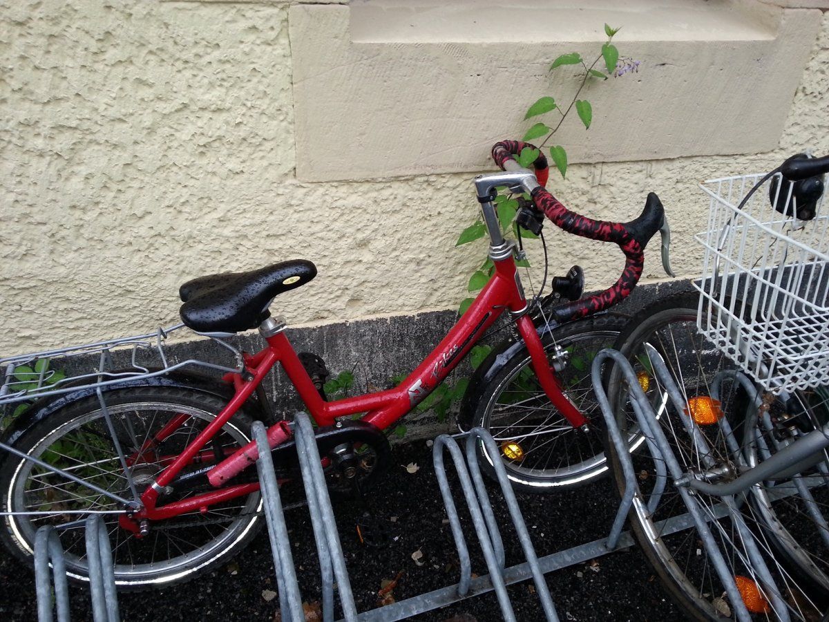20140725_182312.jpg