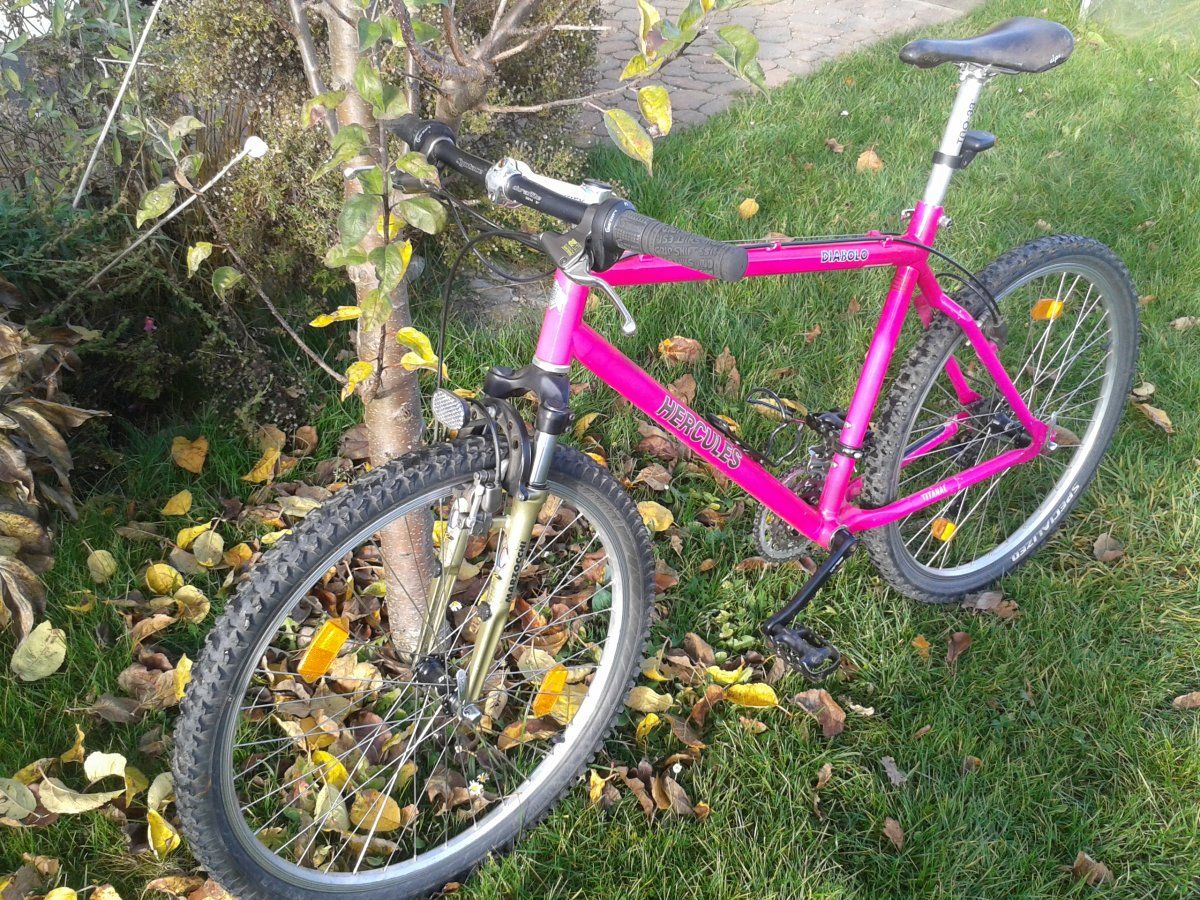 20141128_132606.jpg