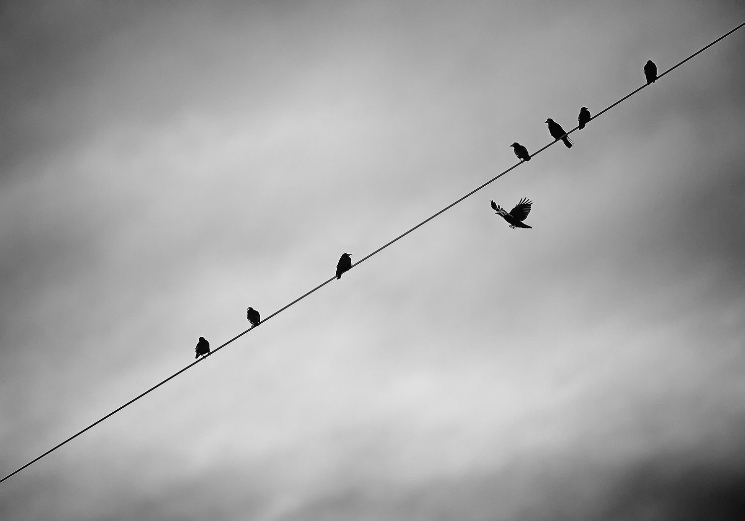 20141201_Raben100_web.JPG