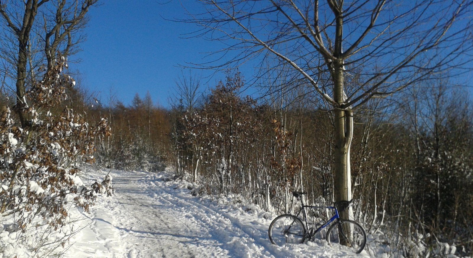20141228_124132_a.jpg