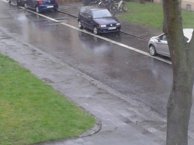 2015-04-01 12.02.12 (Small).jpg